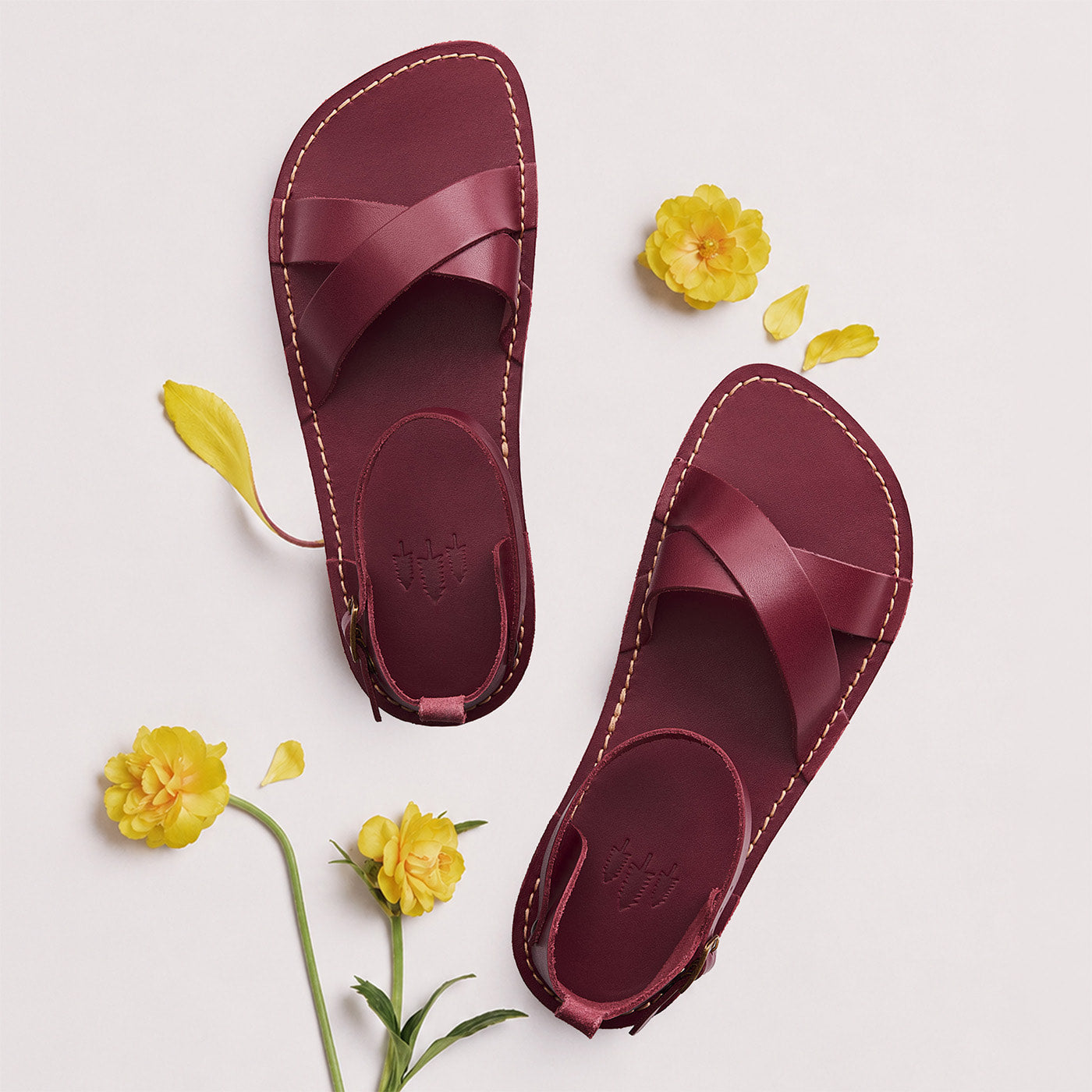 Marsala | Flat leather sandals with ankle straps and debossed PLG three tree logo in soles