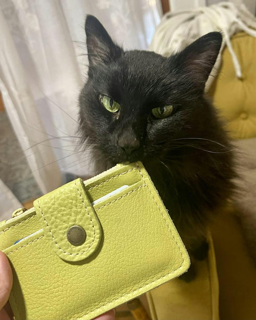 Cutest small wallet! - customer review photo