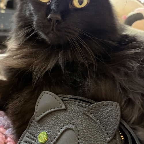 Kitten pouches - customer review photo
