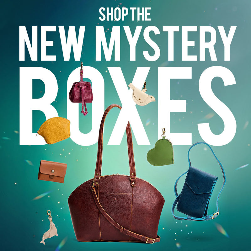 Meet the New Mystery Boxes