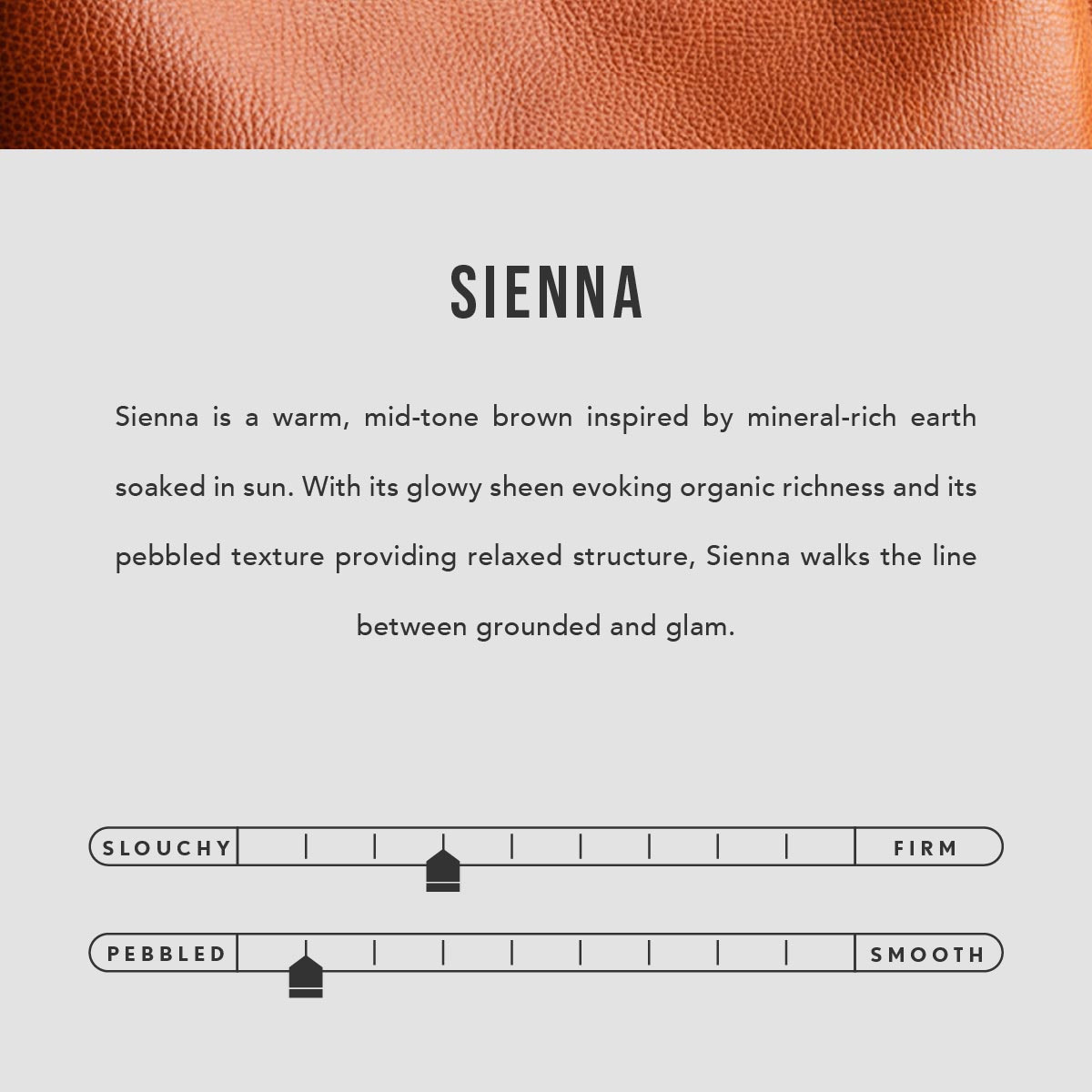 Wildflower Sienna | infographic