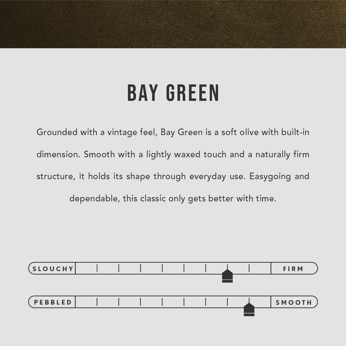 Bay Green | infographic