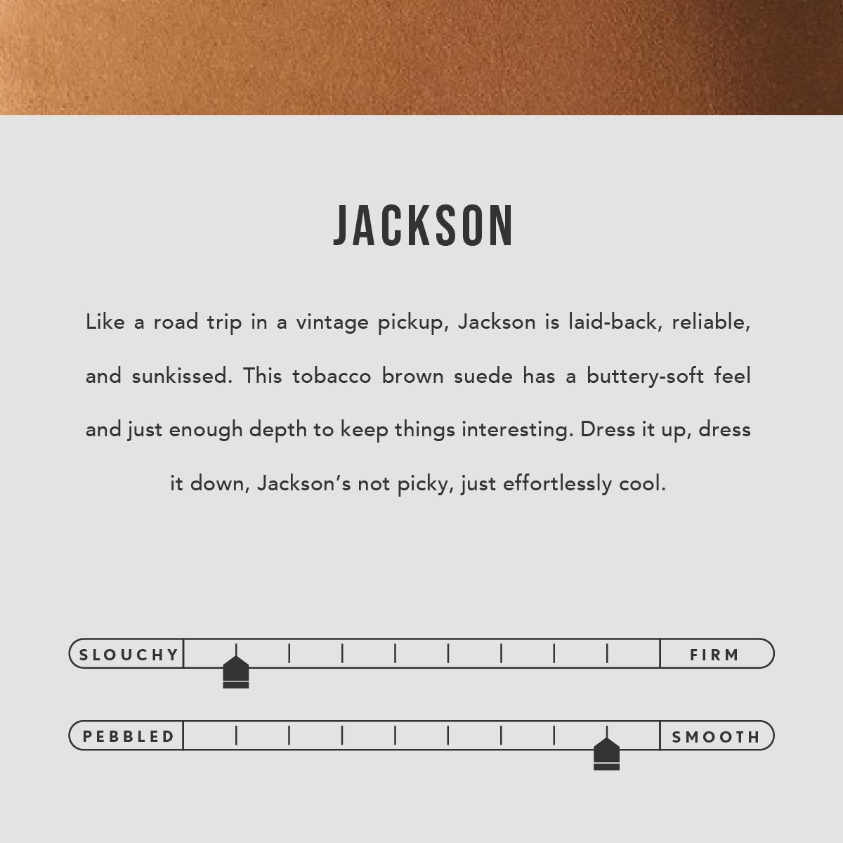 Asheville | infographic