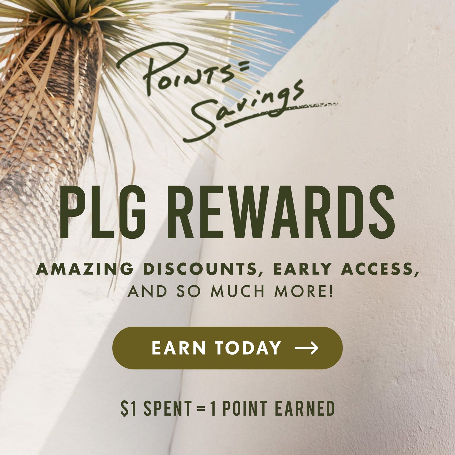 Sunny white background with palm tree. Text reads: PLG Rewards. Amazing Discounts, Early Access, And So Much more! Earn Today! $1 = 1 Point Earned.